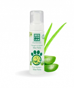 MEN FOR SAN CHAMPU EN SECO ALOE VERA