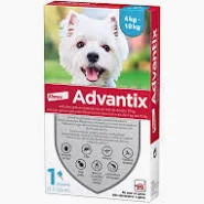 ADVANTIX 4 - 10 KG 1 PIPETA X 1ML